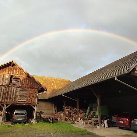 Chez Marguerite Gites A La Ferme Horbourg-Wihr Buitenkant foto