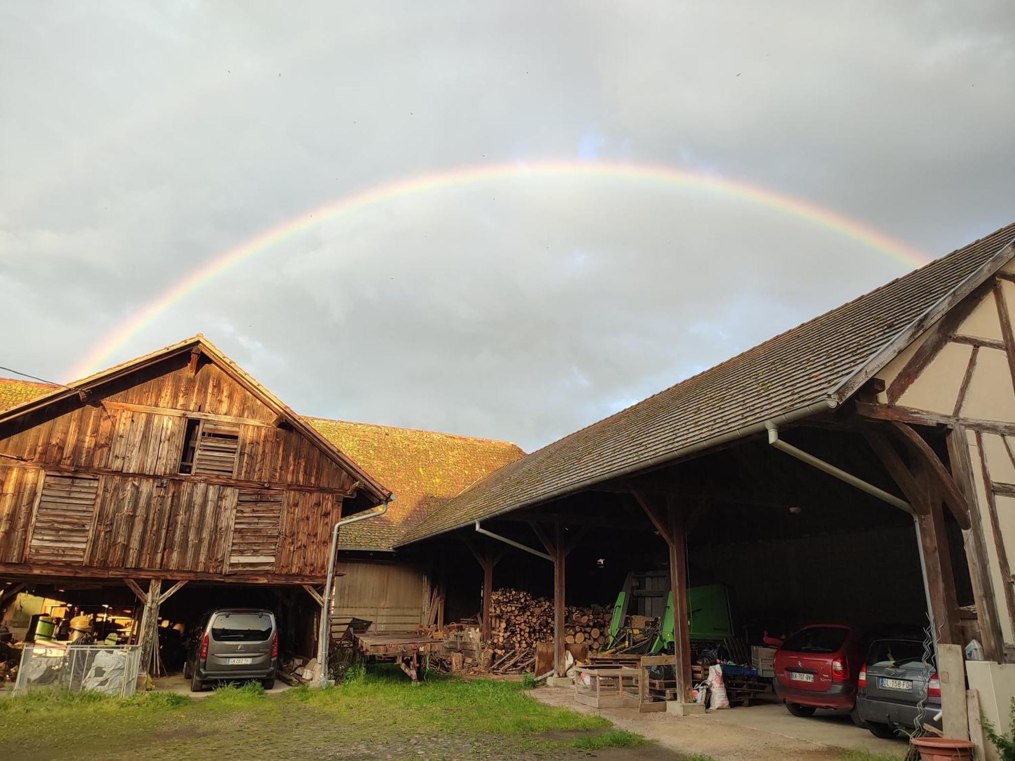 Chez Marguerite Gites A La Ferme Horbourg-Wihr Buitenkant foto