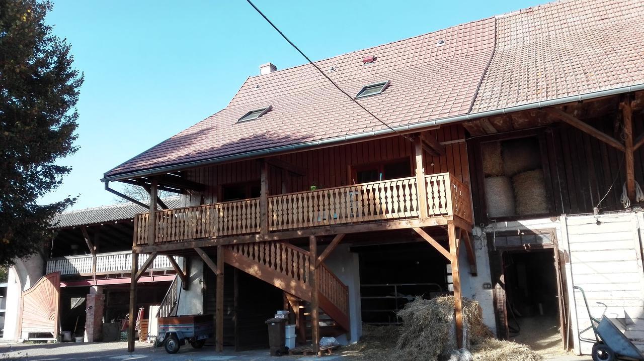 Chez Marguerite Gites A La Ferme Horbourg-Wihr Buitenkant foto